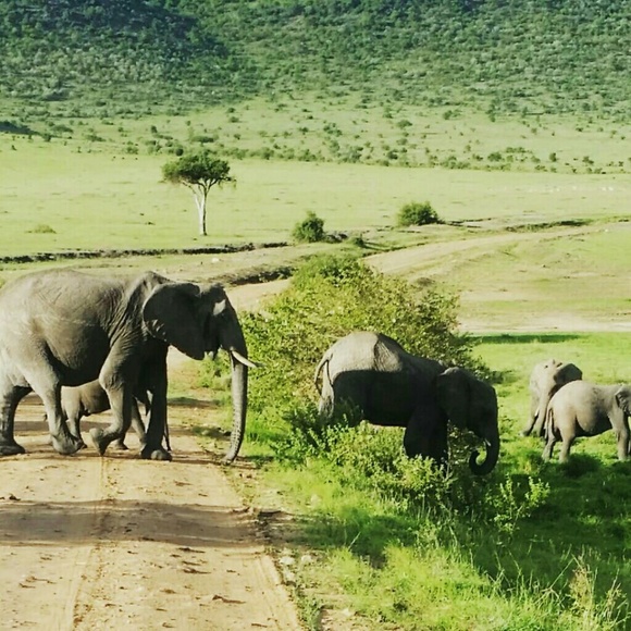 Meet your Posher - Picture 6 of 13